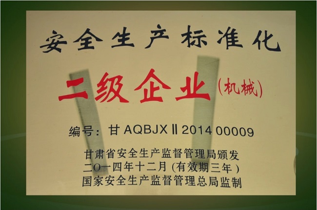 安全生產(chǎn)標(biāo)準(zhǔn)化二級企業(yè).jpg